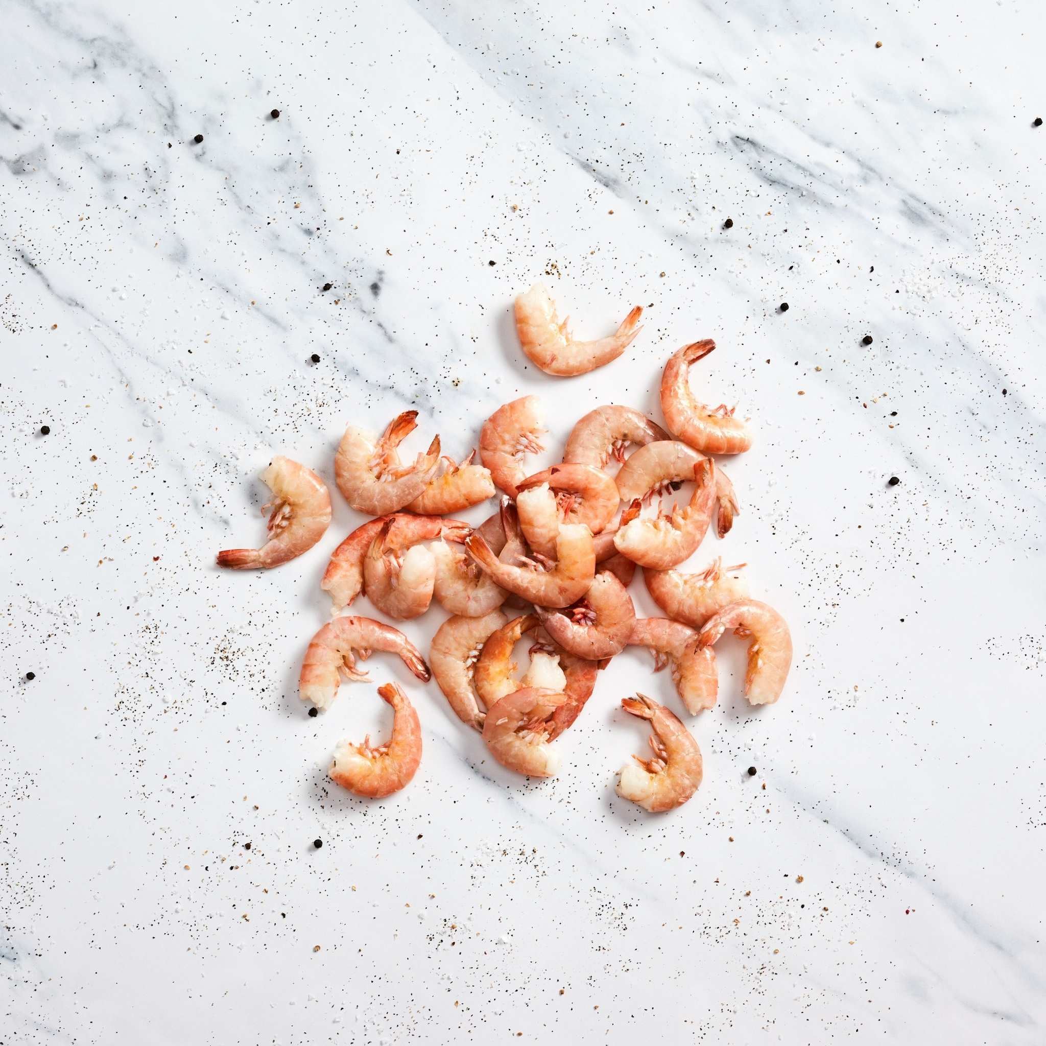 Florida Pink Shrimp