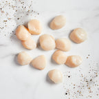 Sea Scallops