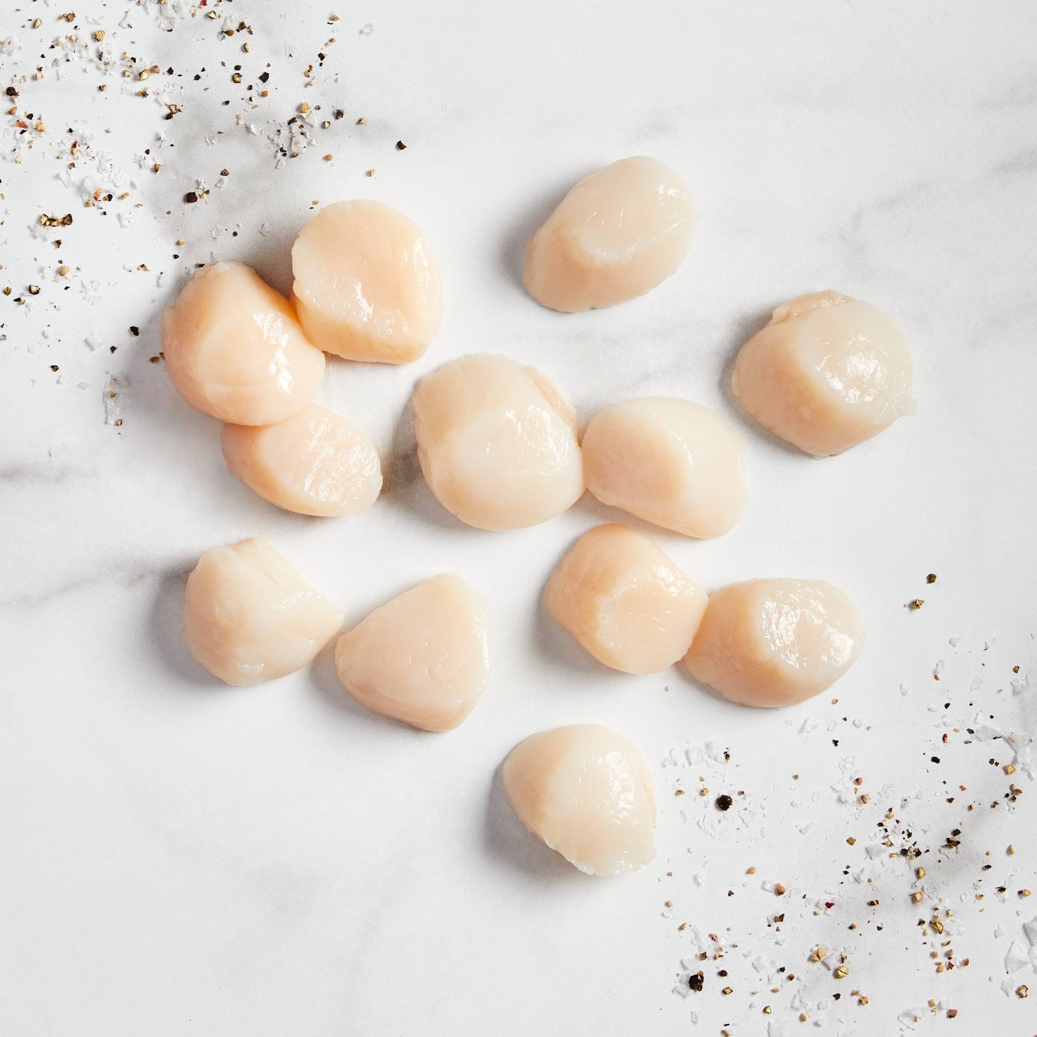 Sea Scallops