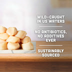 Sea Scallops