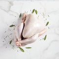 Whole Turkey
