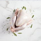 Whole Turkey
